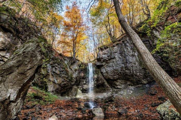 Fraktos Forest in Drama, Greece